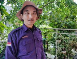 Sekata Institute Desak Pemerintah Tetapkan OPM  Sebagai Kelompok Organisasi Teroris